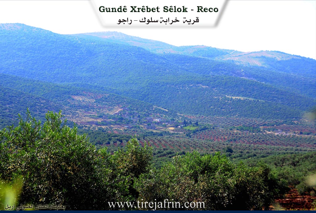 Photo of Xirabî Silûg